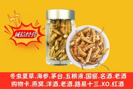 松岭区名酒回收散虫草.jpg