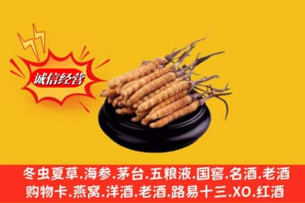 松岭区名酒回收冬虫夏草.jpg
